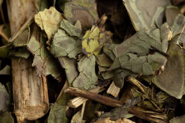 Chá Verde - Image 2
