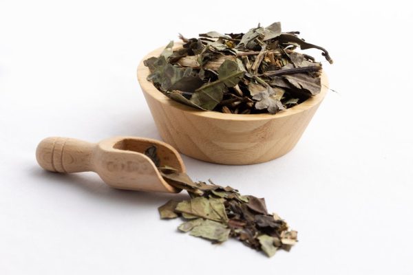 Chá Verde - Image 3